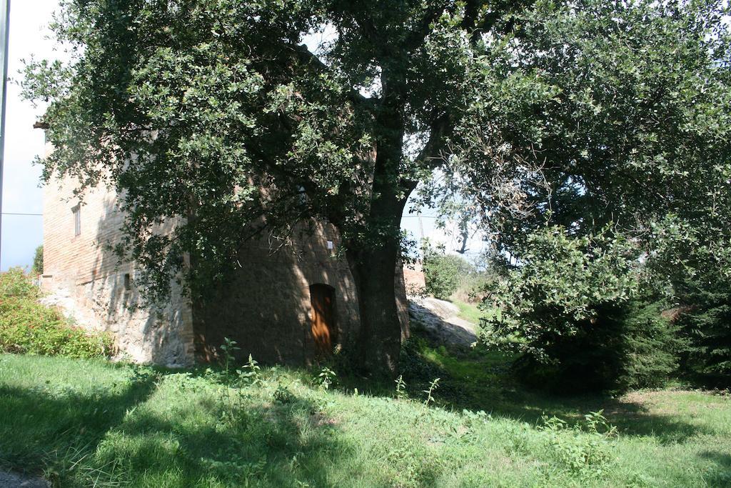 Cal Cisteller Vila Gironella Quarto foto